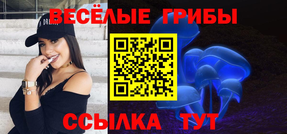 Лыткарино  Псилоцибиновые грибы Cubensis  наркошоп  Вход с VPN 